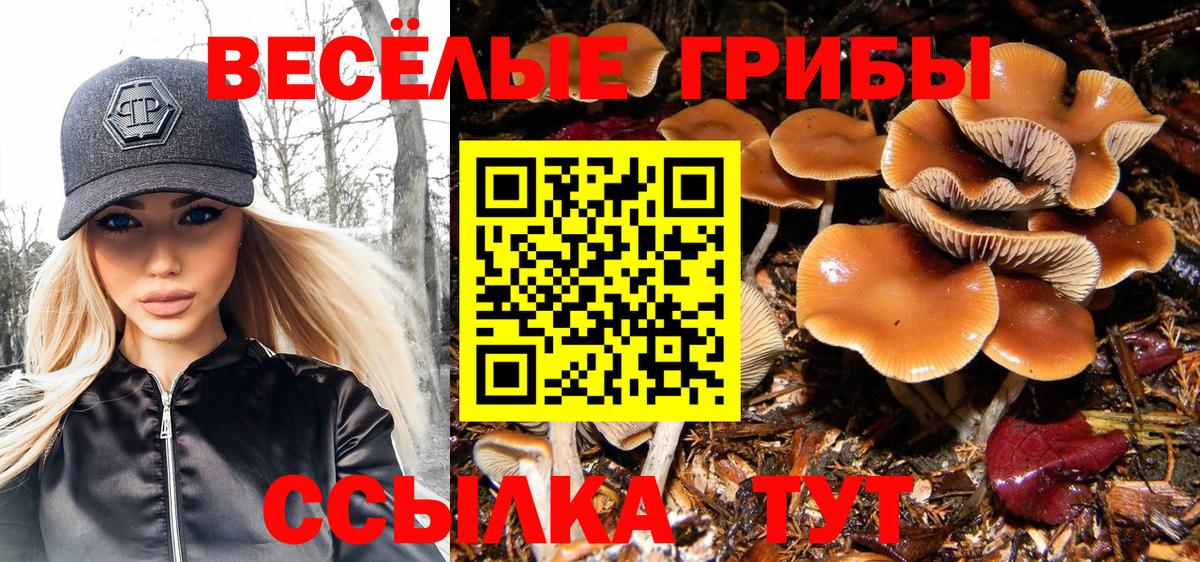 Холмск  Псилоцибиновые грибы Magic Shrooms  Вход с VPN  Псилоцибиновые грибы прущие грибы 